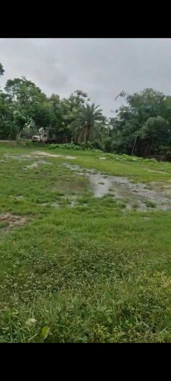 Residencial Land For Sale At Kamarpol, Diamond Harbour, WB